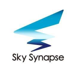 沖縄ドローン国家資格｜株式会社Sky Synapse（スカイシナプス）